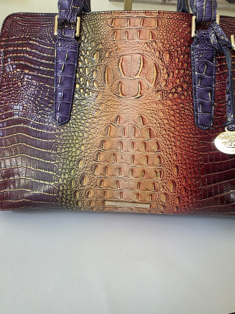 Brahmin Mini Asher Mojave Vineyard Embossed Leather Tote Crossbody - Picture 4 of 16
